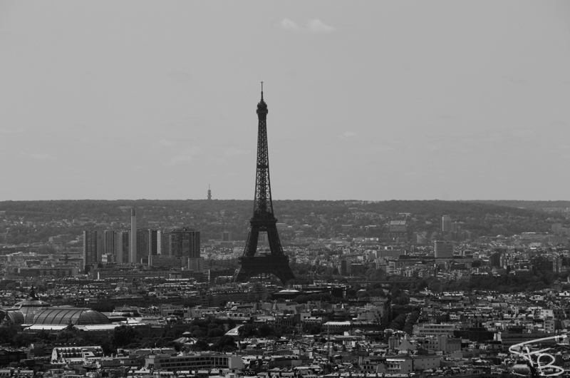 Black and White Paris skyline whith the tour eiffel